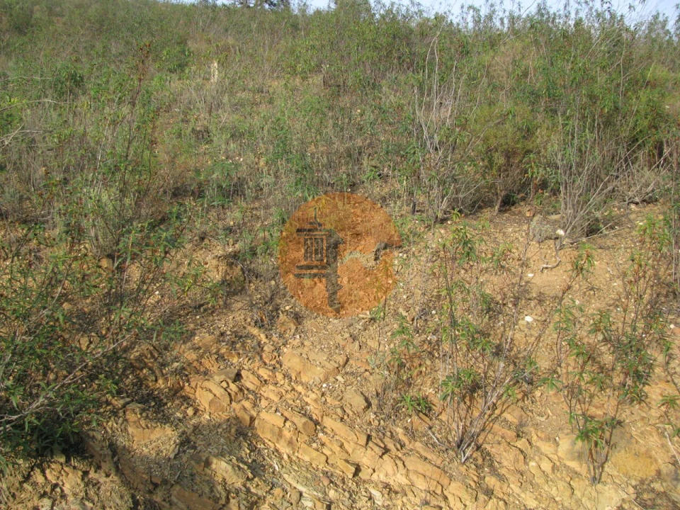 Terreno para Venda em Azinhal Foto 28