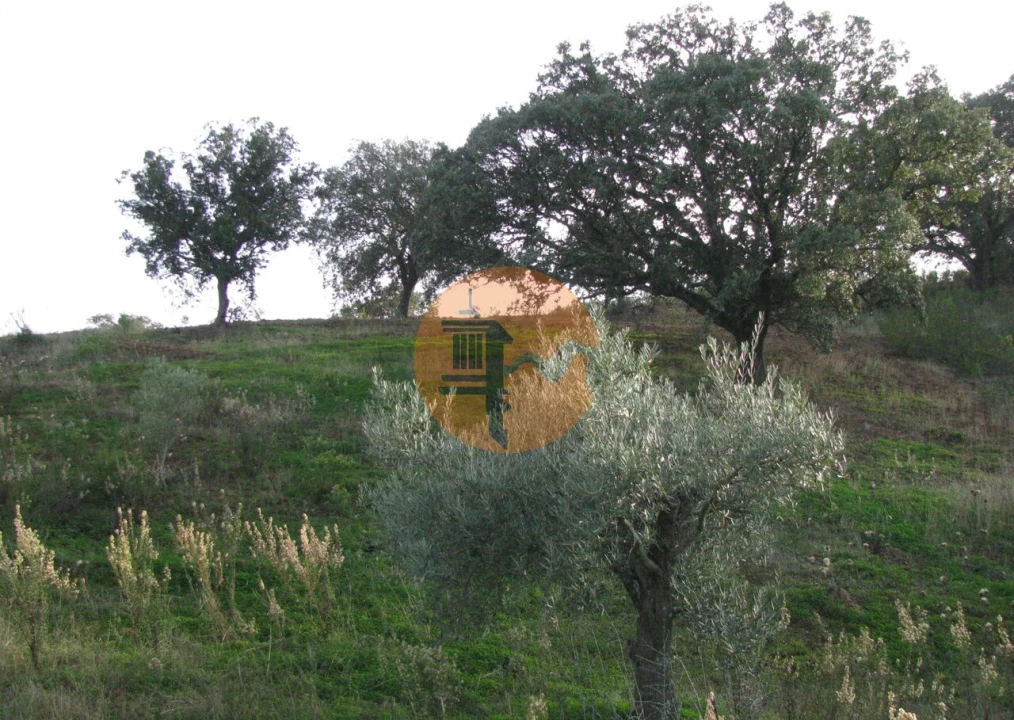 Terreno para Venda em Azinhal Foto 30
