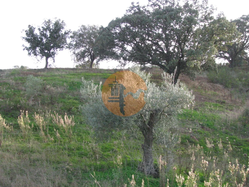 Terreno para Venda em Azinhal Foto 31
