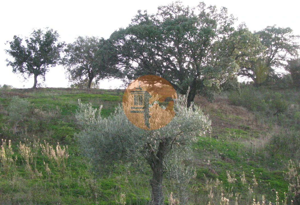 Terreno para Venda em Azinhal Foto 32