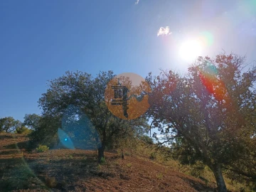 Terreno para Venda em Azinhal