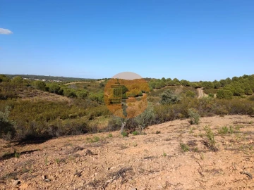 Terreno para Venda em Azinhal