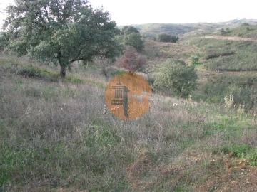 Terreno para Venda em Azinhal
