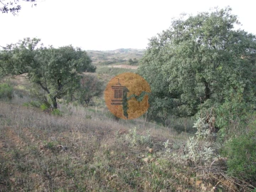 Terreno para Venda em Azinhal