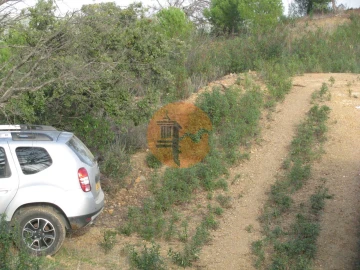 Terreno para Venda em Azinhal