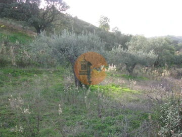 Terreno para Venda em Azinhal