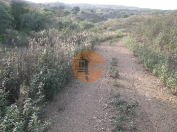 Terreno para Venda em Azinhal