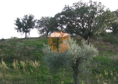 Terreno para Venda em Azinhal
