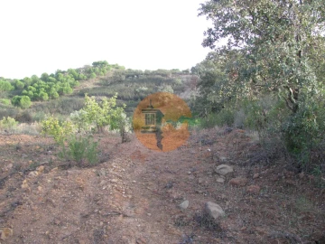 Terreno para Venda em Azinhal