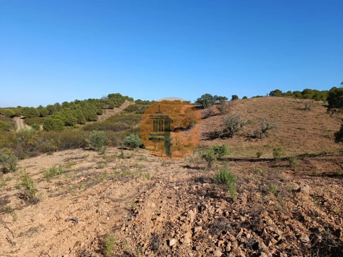 Terreno para Venda em Azinhal Foto 4