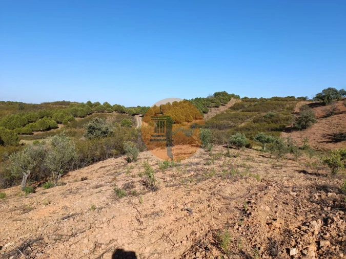 Terreno para Venda em Azinhal Foto 10