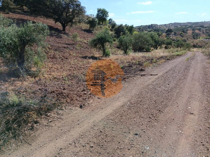 Terreno para Venda em Azinhal Foto 14