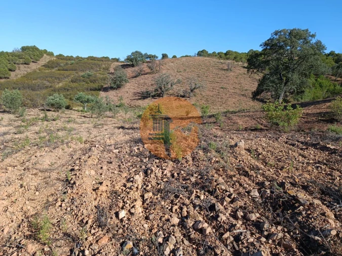 Terreno para Venda em Azinhal Foto 15