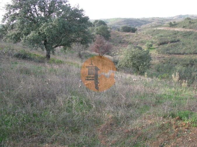 Terreno para Venda em Azinhal Foto 16