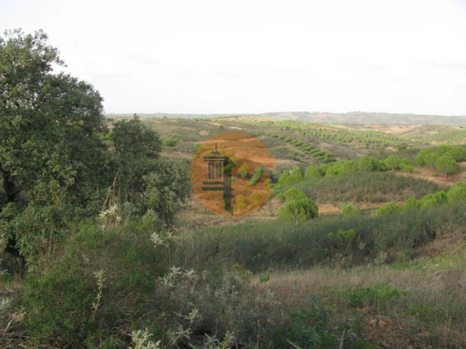 Terreno para Venda em Azinhal Foto 18