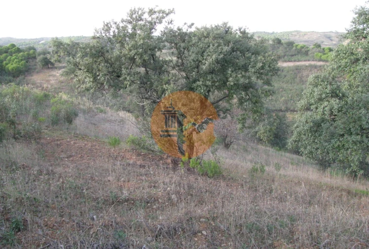 Terreno para Venda em Azinhal Foto 20