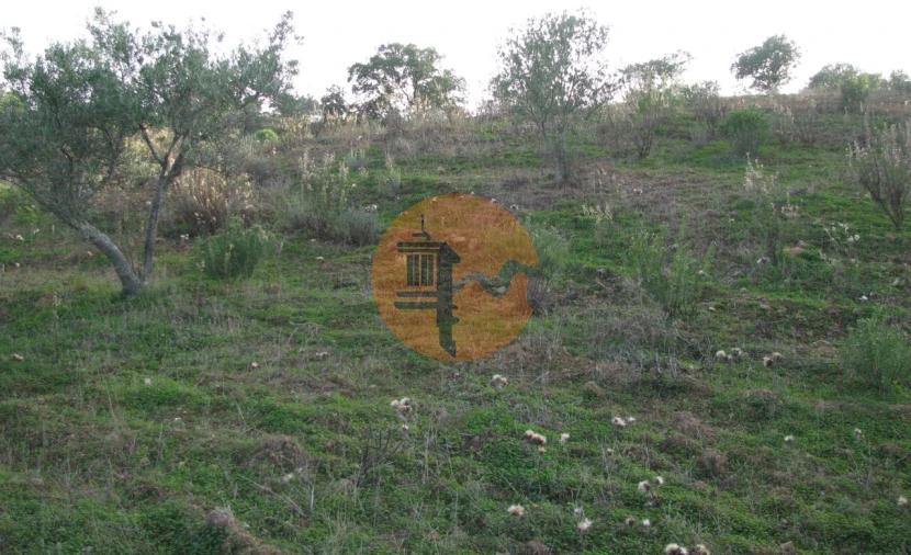 Terreno para Venda em Azinhal Foto 26