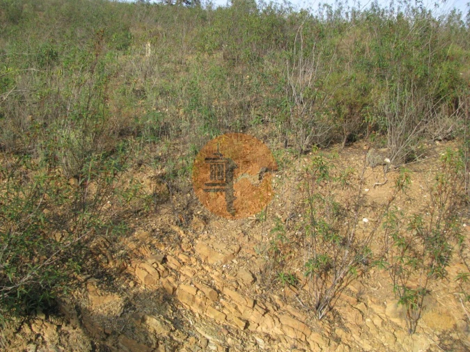 Terreno para Venda em Azinhal Foto 28