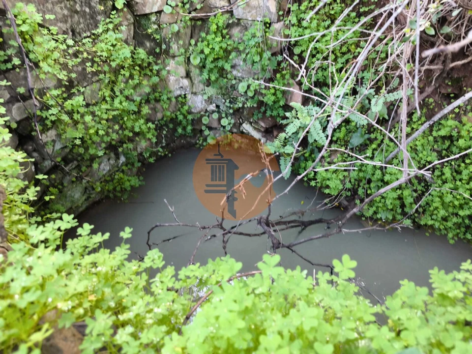 Terreno para Venda em Azinhal Foto 3
