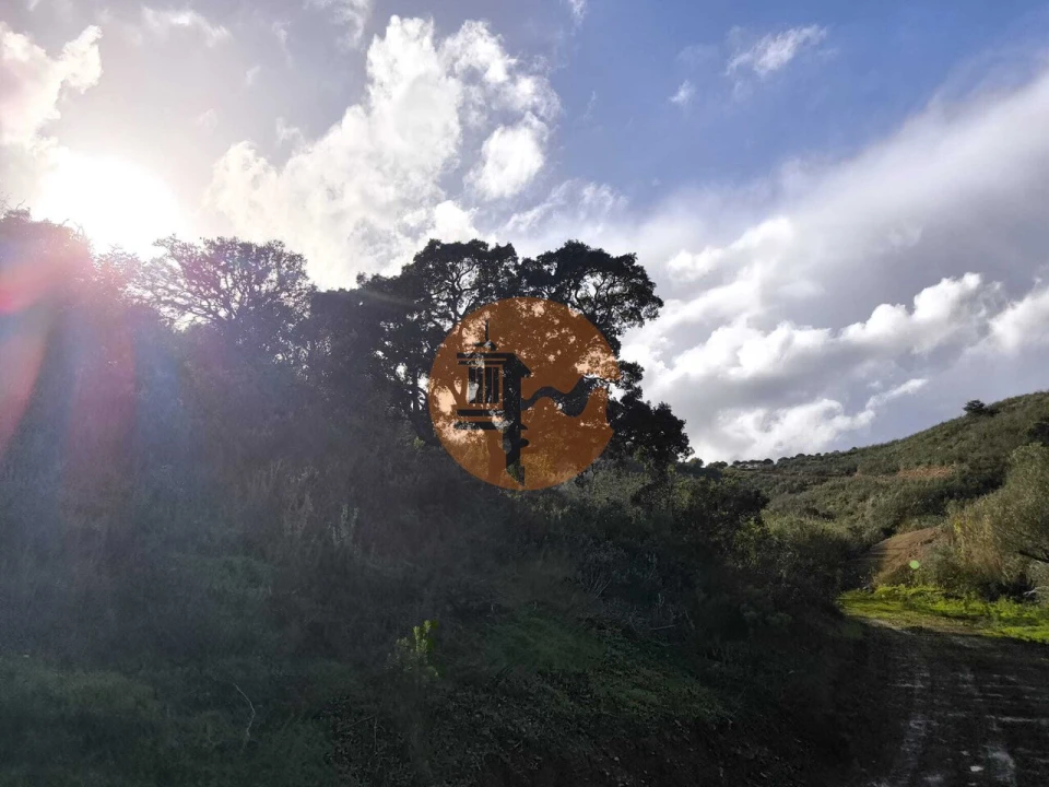 Terreno para Venda em Azinhal Foto 8