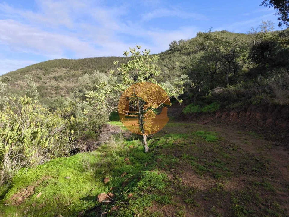 Terreno para Venda em Azinhal Foto 21