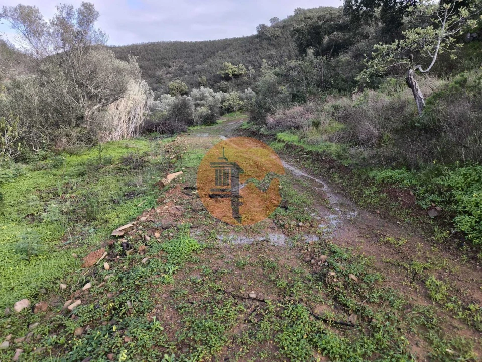 Terreno para Venda em Azinhal Foto 25