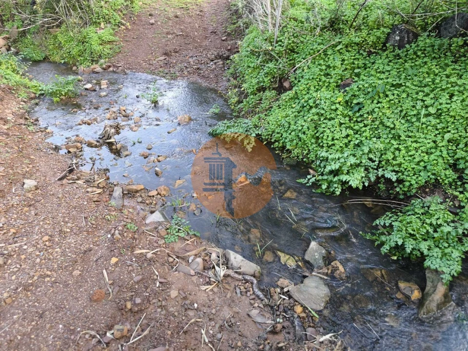 Terreno para Venda em Azinhal Foto 1