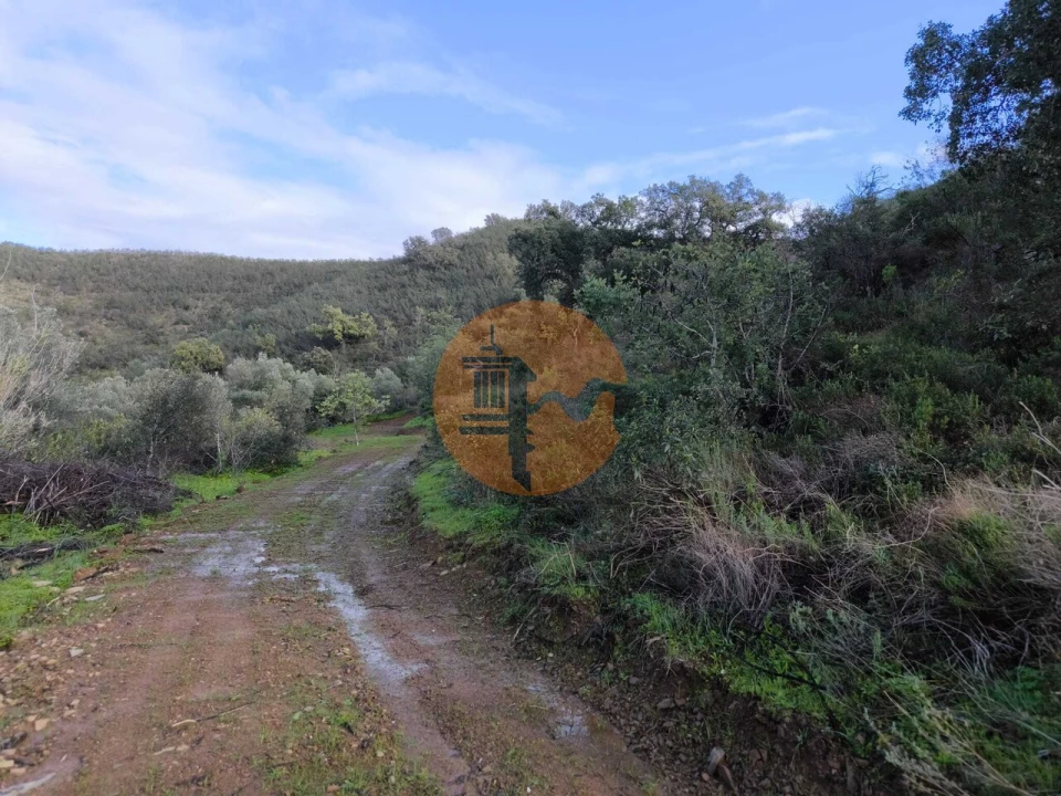 Terreno para Venda em Azinhal Foto 26