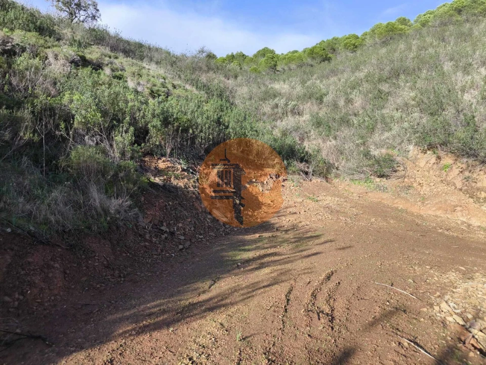 Terreno para Venda em Azinhal Foto 29