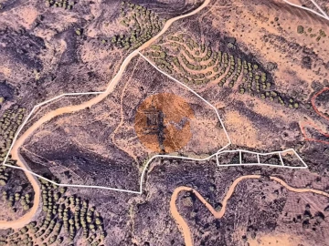 Terreno para Venda em Azinhal