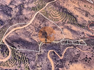 Terreno para Venda em Azinhal