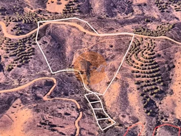 Terreno para Venda em Azinhal