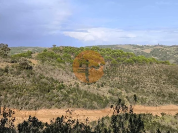 Terreno para Venda em Azinhal