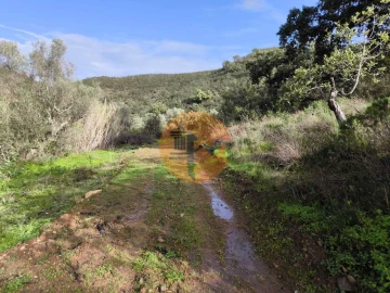 Terreno para Venda em Azinhal