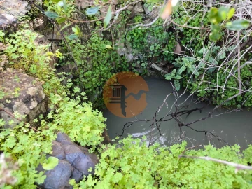 Terreno para Venda em Azinhal