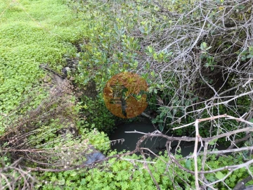 Terreno para Venda em Azinhal