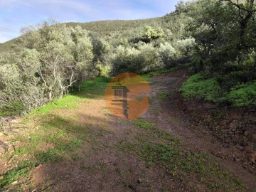 Terreno para Venda em Azinhal