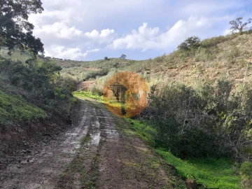 Terreno para Venda em Azinhal