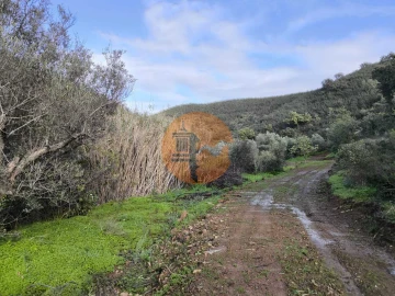 Terreno para Venda em Azinhal