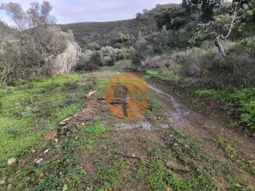 Terreno para Venda em Azinhal