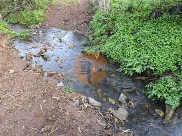 Terreno para Venda em Azinhal