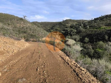 Terreno para Venda em Azinhal