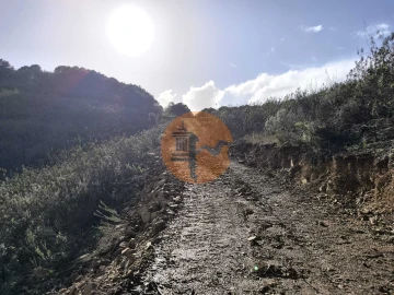 Terreno para Venda em Azinhal
