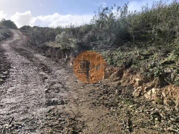 Terreno para Venda em Azinhal