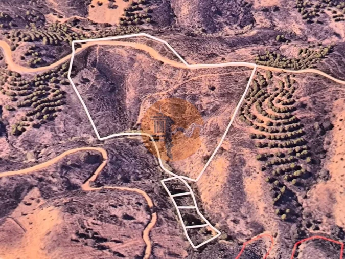 Terreno para Venda em Azinhal Foto 5