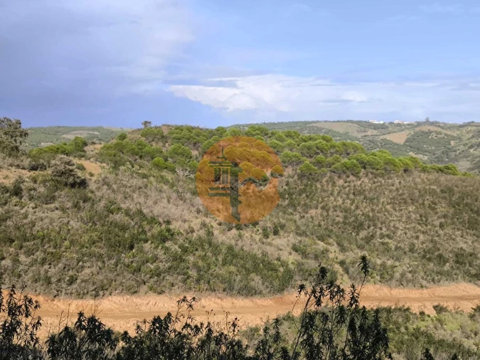 Terreno para Venda em Azinhal Foto 7