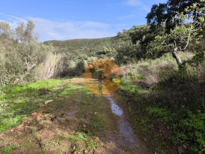 Terreno para Venda em Azinhal Foto 12
