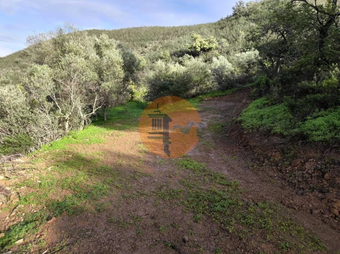 Terreno para Venda em Azinhal Foto 19