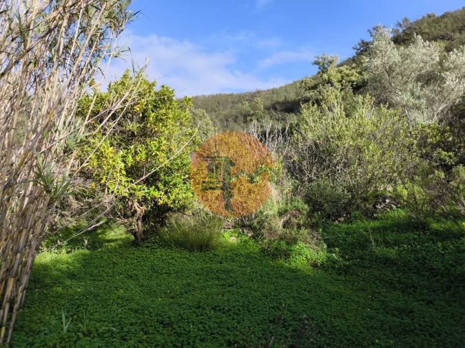 Terreno para Venda em Azinhal Foto 23