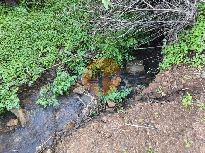 Terreno para Venda em Azinhal Foto 22